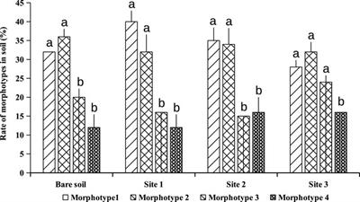 Effects of Dual Symbiotic Interactions Performed by the Exotic Tree Golden Wreath Wattle (Acacia cyanophylla Lindl.) on Soil Fertility in a Costal Sand Dune Ecosystem